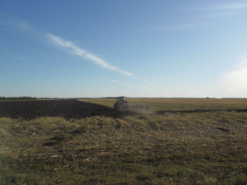 В Алексеевском районе продолжается основная обработка почвы