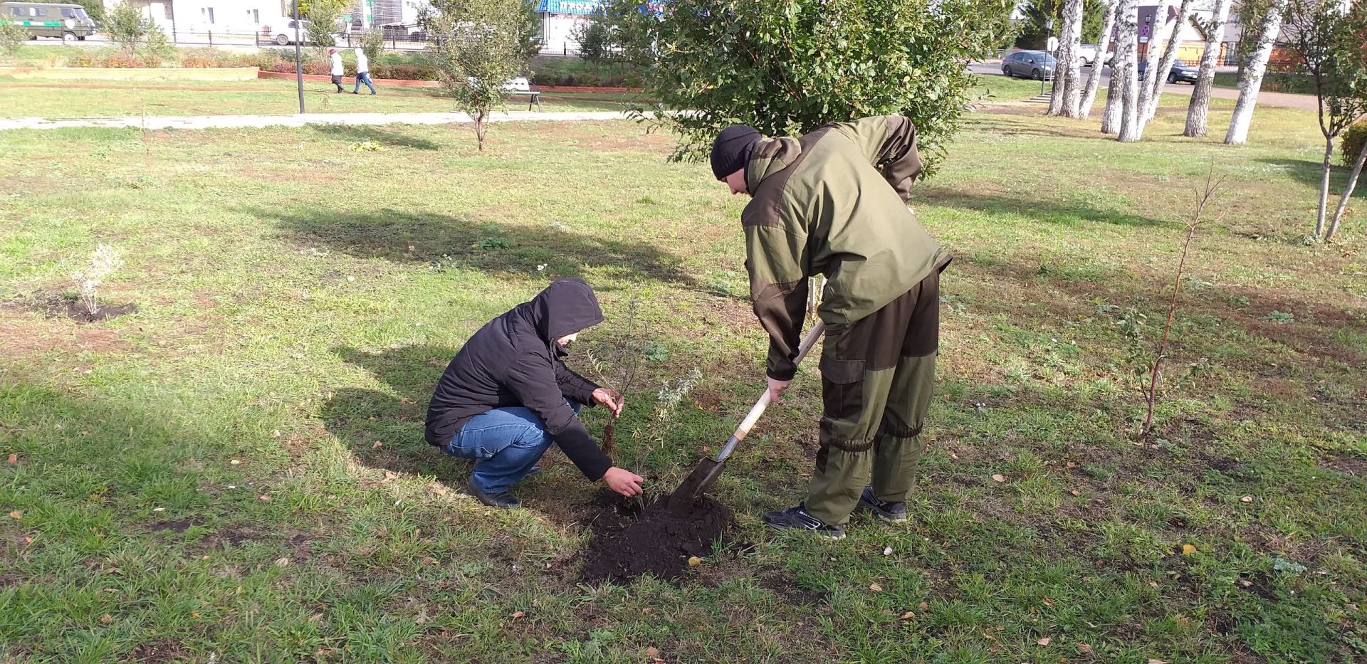 Сегодня День посадки леса в Алексеевском районе