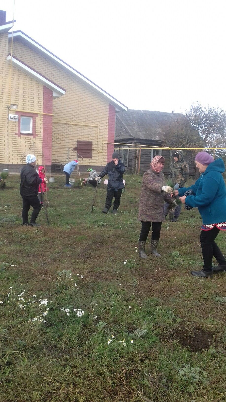 Сельские поселения Алексеевского района приняли участие в экологической акции