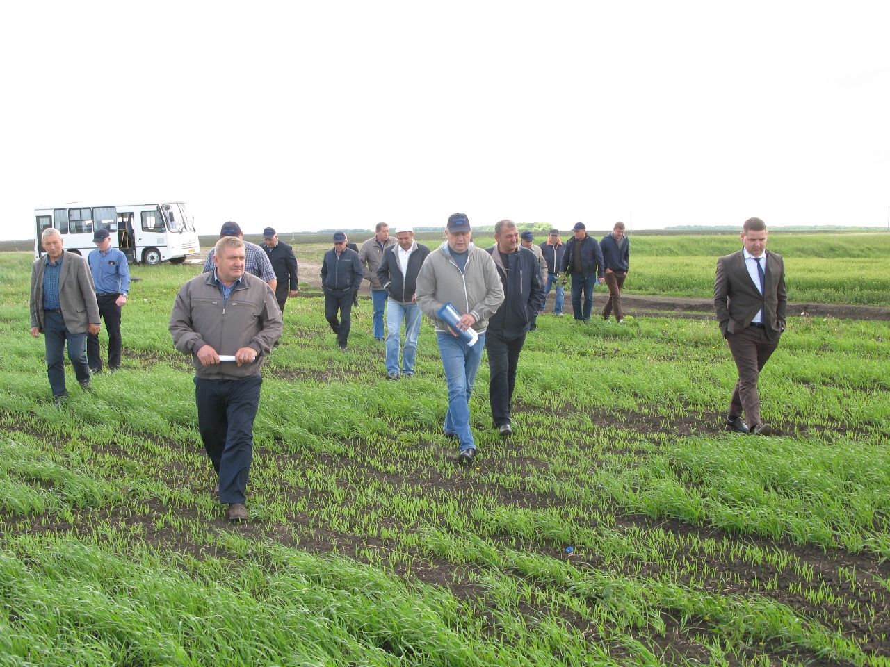 Руководители сельхозформирований Алексеевского района совершили объезд полей района