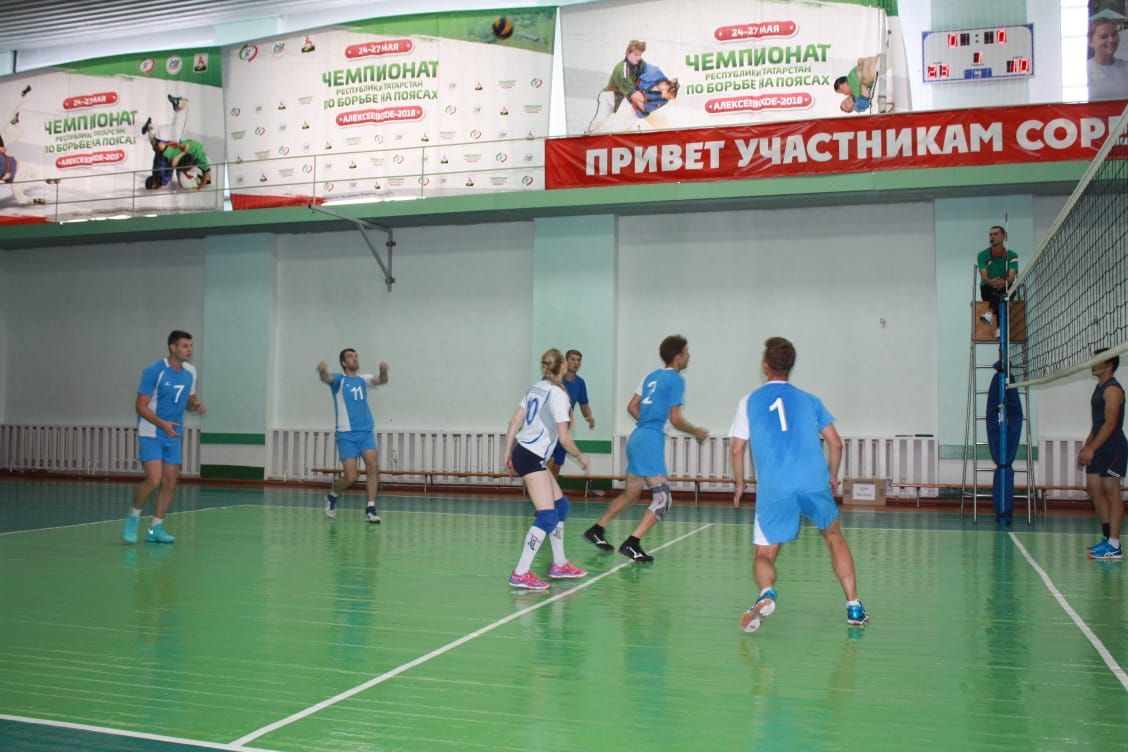 В Алексеевском районе прошли республиканские соревнования по волейболу