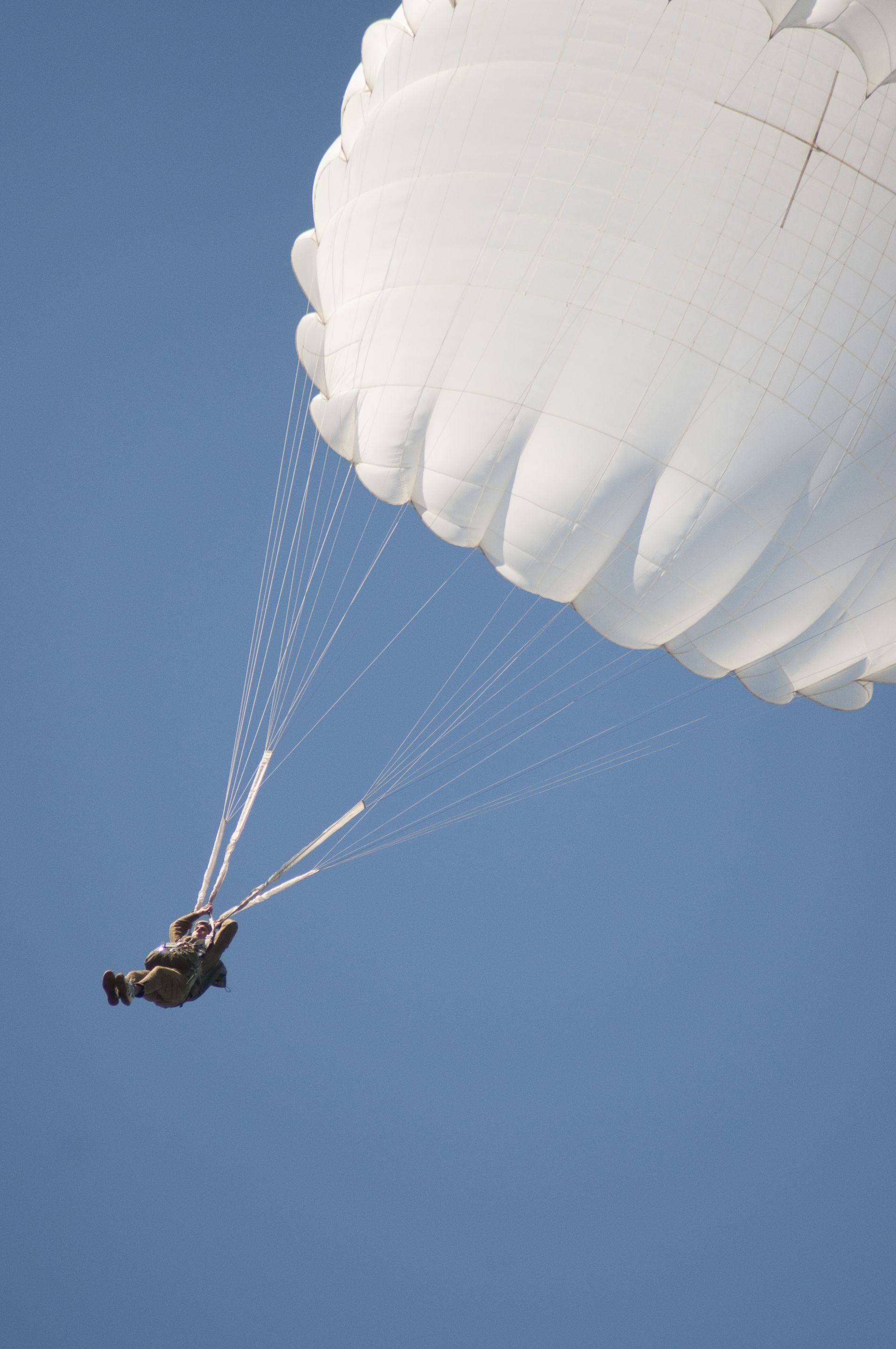 Видео: алексеевцы совершили прыжок с парашютом