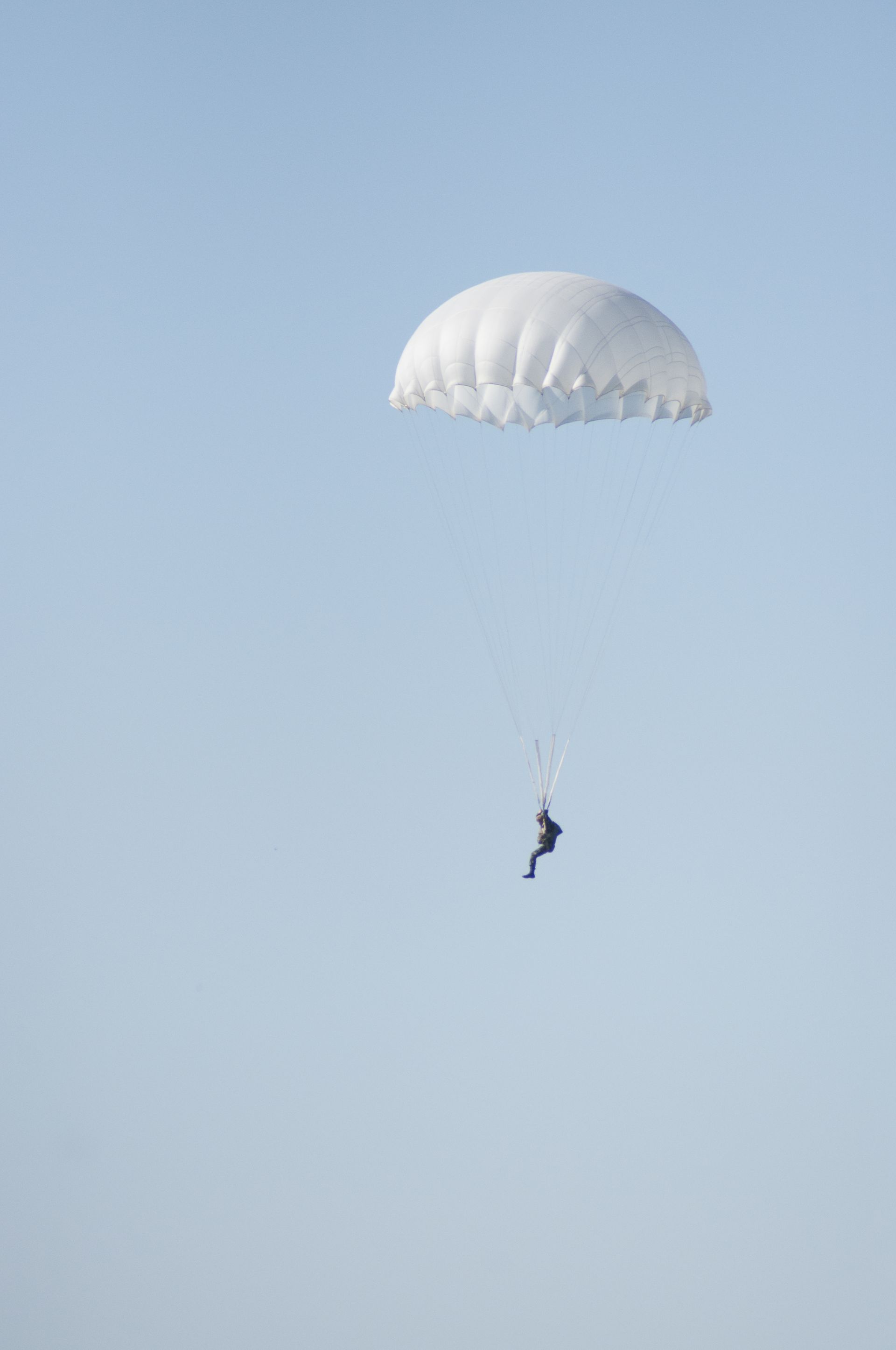 Видео: алексеевцы совершили прыжок с парашютом