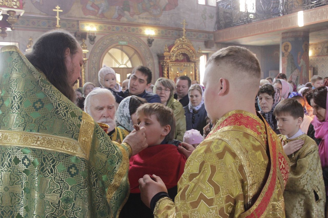 Фоторепортаж: Алексеевцы празднуют Вербное воскресенье