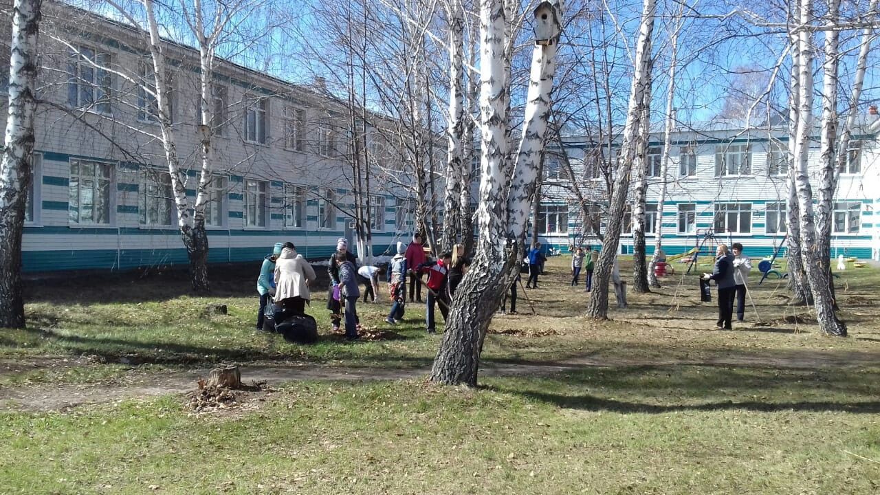 Фоторепортаж:Ученики и учителя алексеевских школ навели порядок на своих территориях