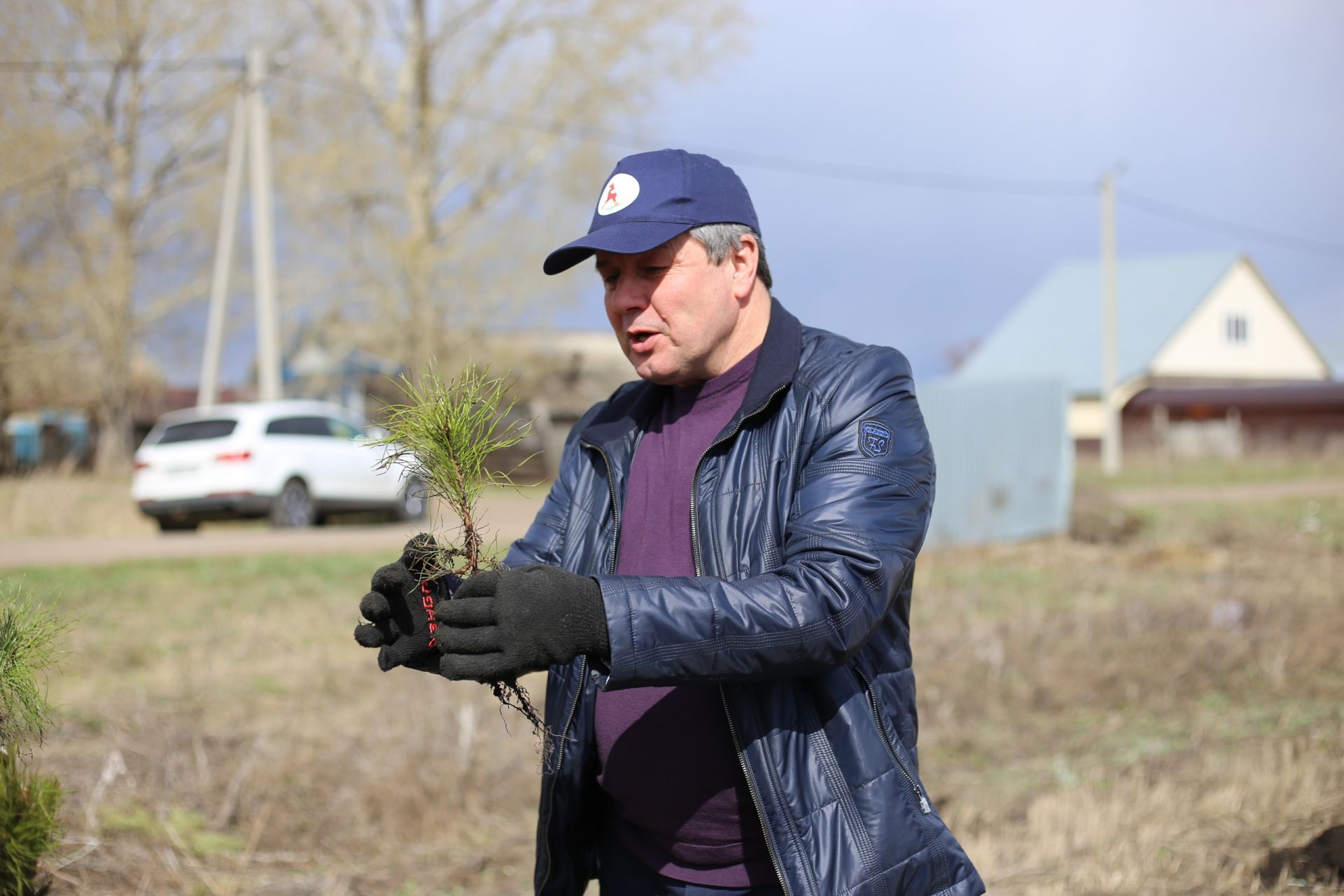 Акция "День посадки леса" прошла в Алексеевском районе