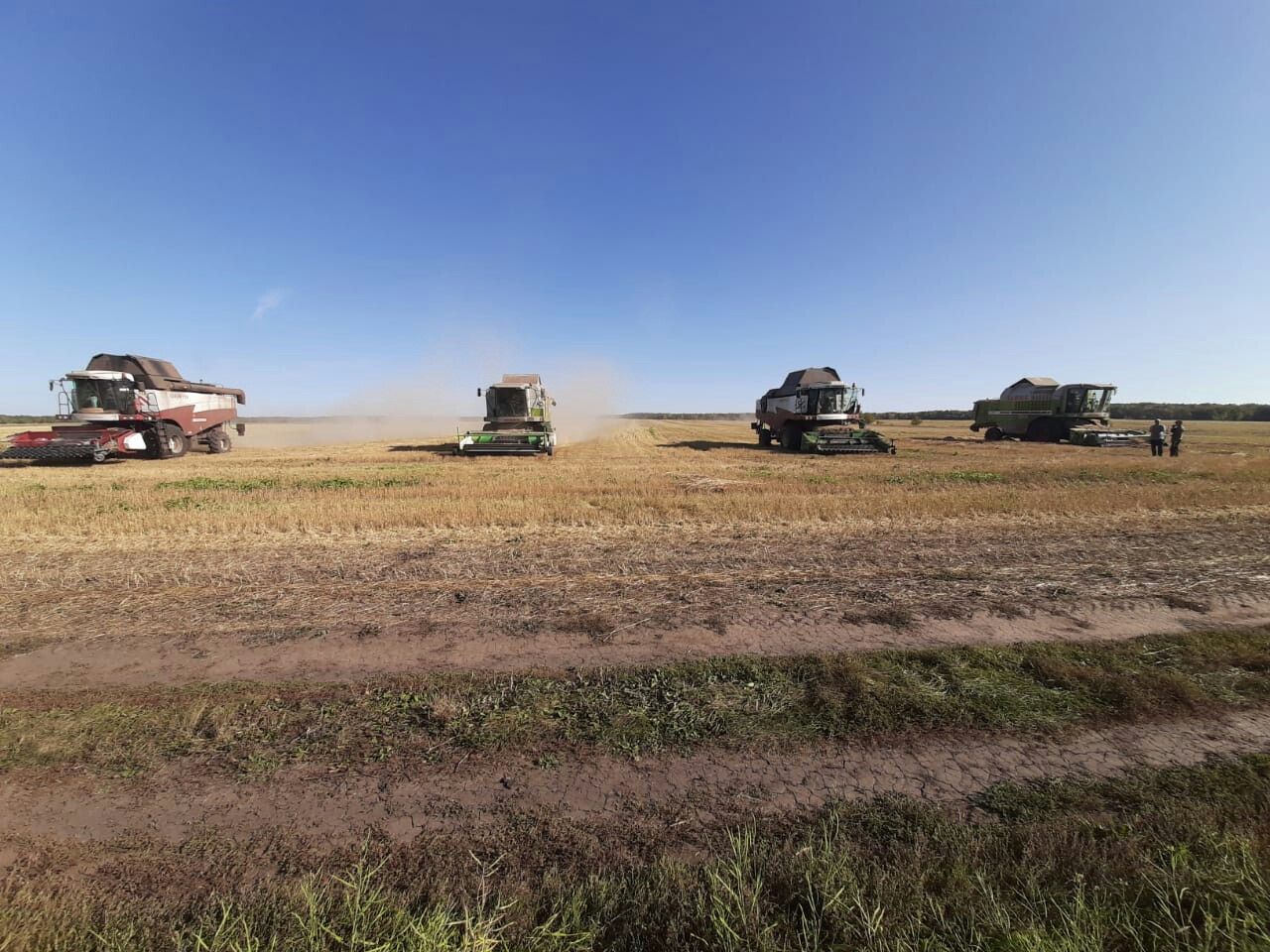 Хлеборобы района завершили уборку зерновых
