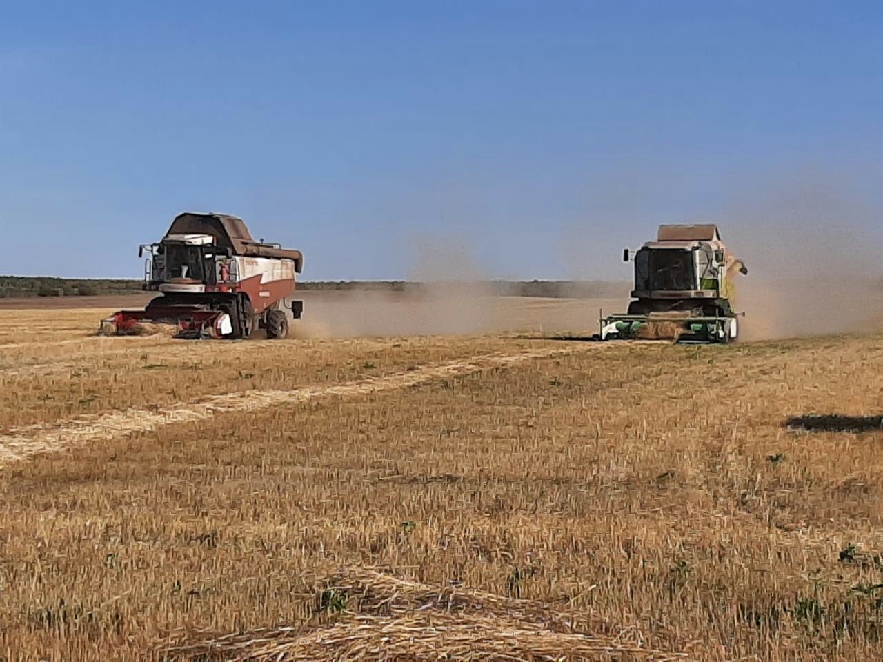 Хлеборобы района завершили уборку зерновых
