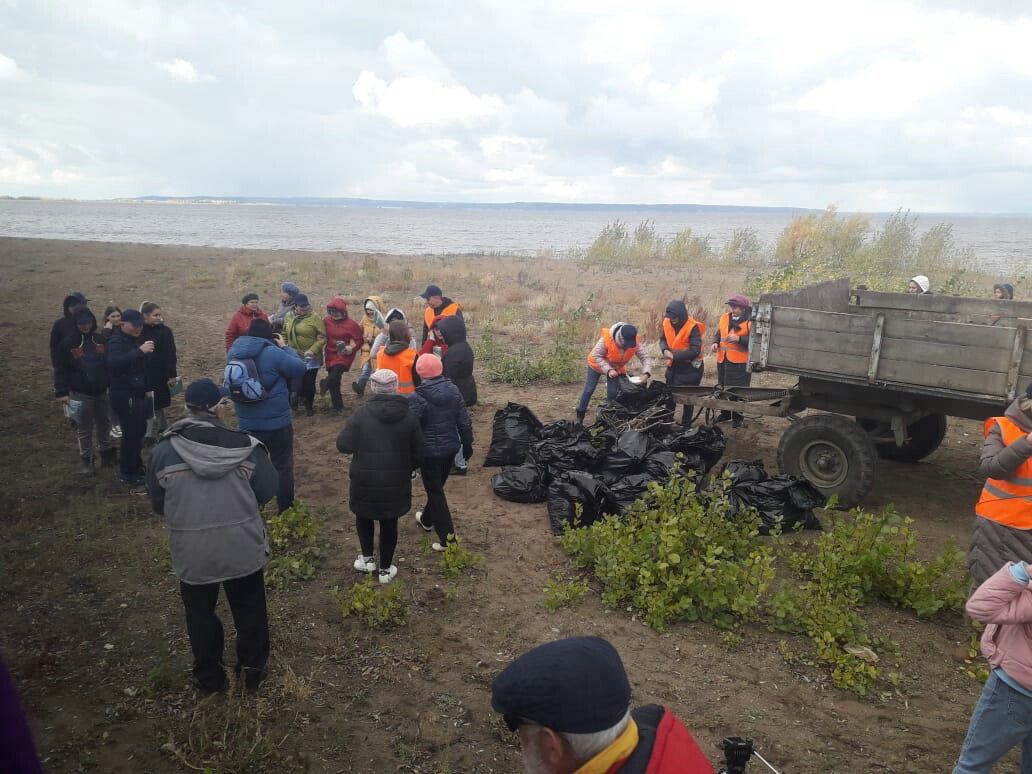 В Алексеевском и Лебяжье состоялась федеральная  экологическая акция по очистке берега Камы