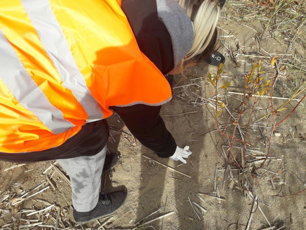 В Алексеевском и Лебяжье состоялась федеральная  экологическая акция по очистке берега Камы