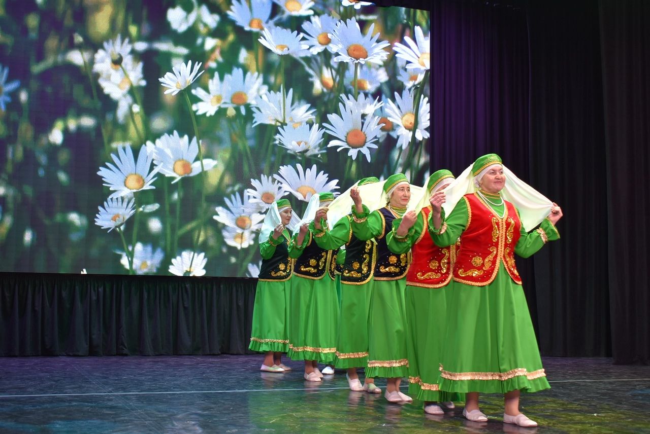 В Алексеевском районе состоялось открытие Года родных языков и народного единства