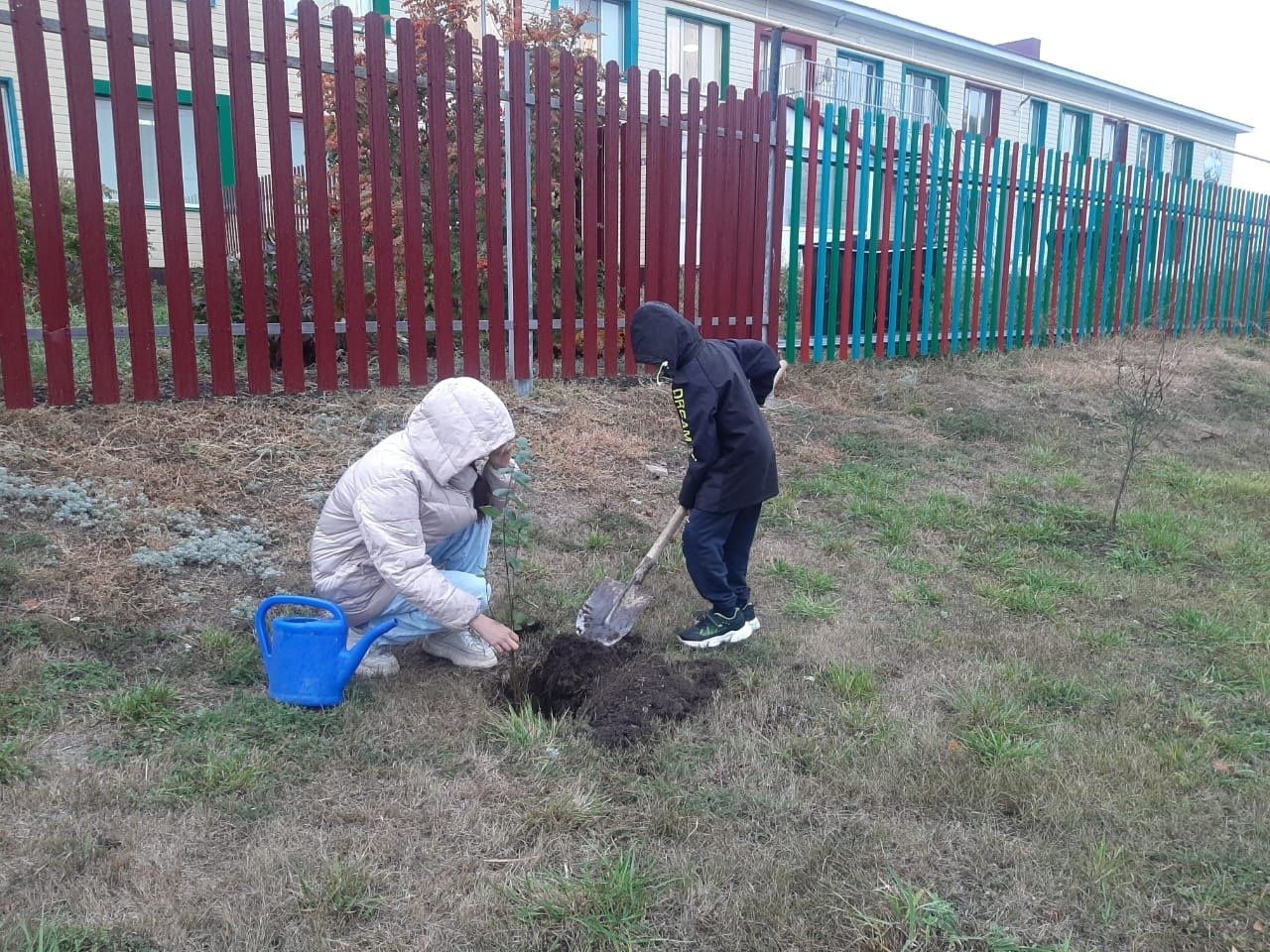 Воспитанники приюта «Забота» посадили деревья