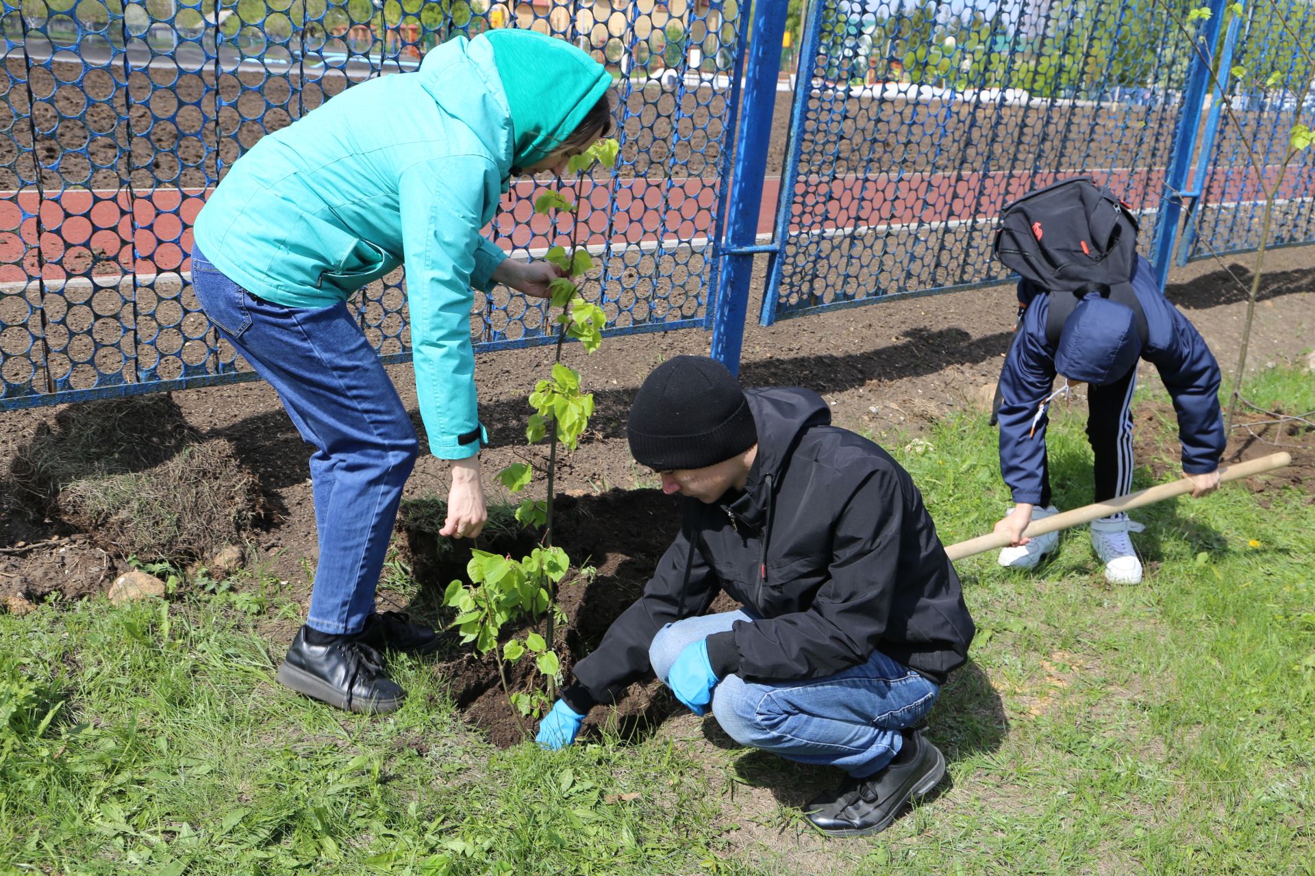 В Алексеевском районе прошла акция «Посади дерево», приуроченная к Году семьи