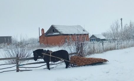 Дед Мороз приехал на елку к ребятам на запряженной санями лошади