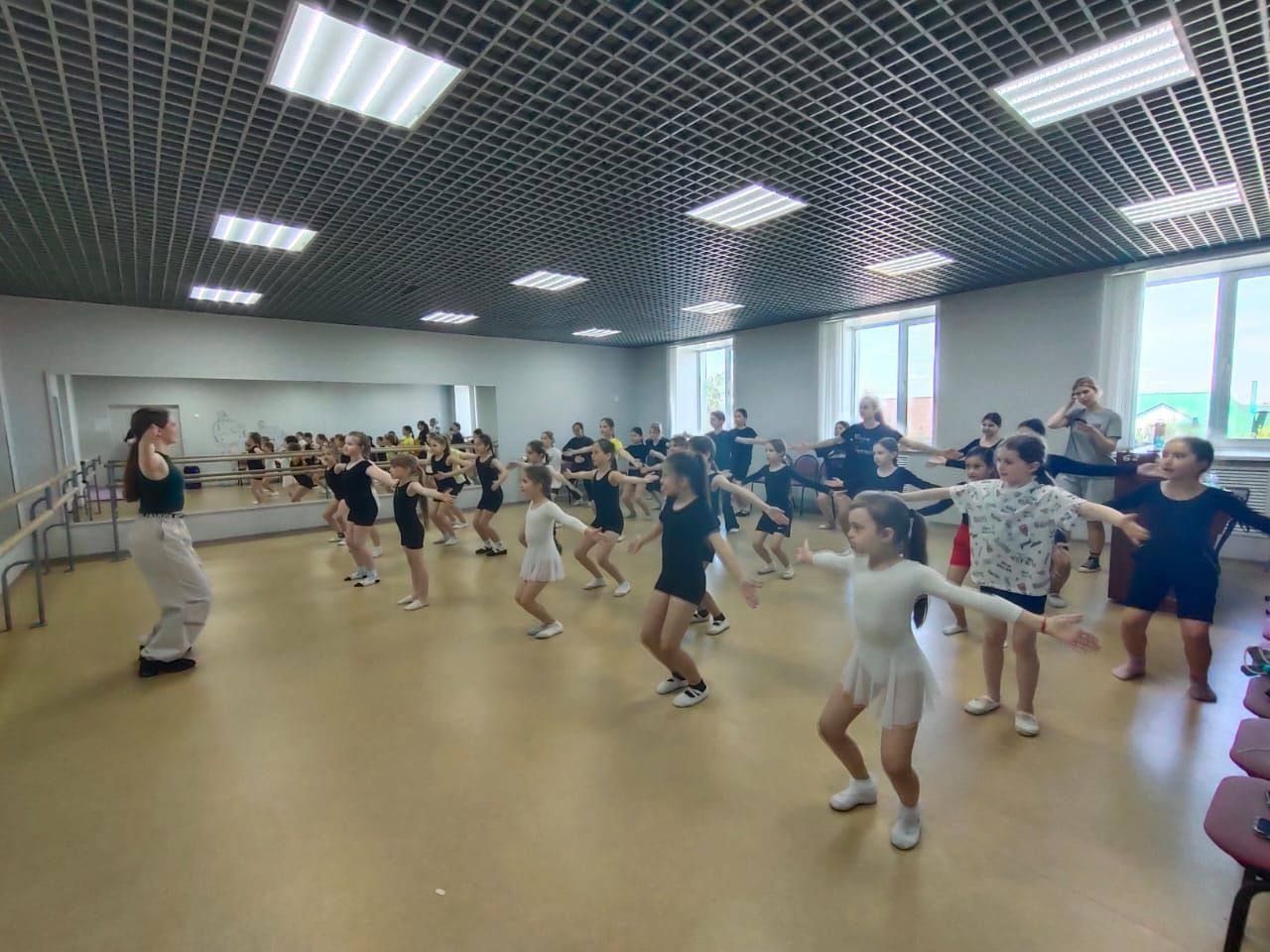 В  детской школе искусств Алексеевского прошла «Классная встреча»