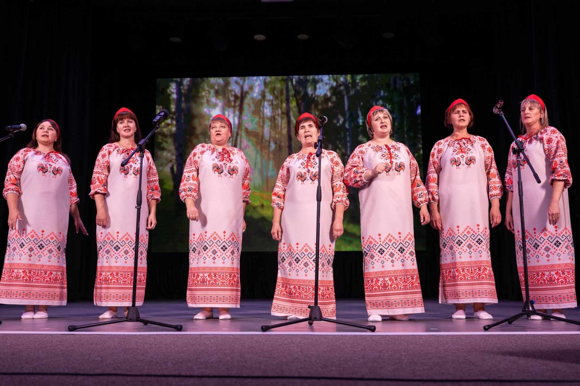 В Алексеевском районе прошёл отборочный этап конкурса «Единство талантов»