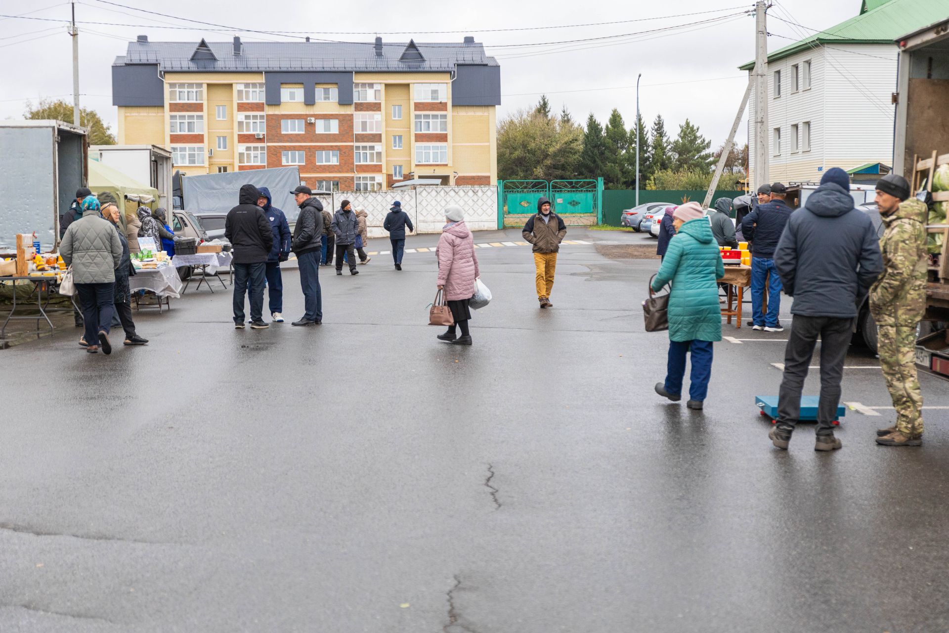 В Алексеевском районе прошла традиционная сельскохозяйственная ярмарка