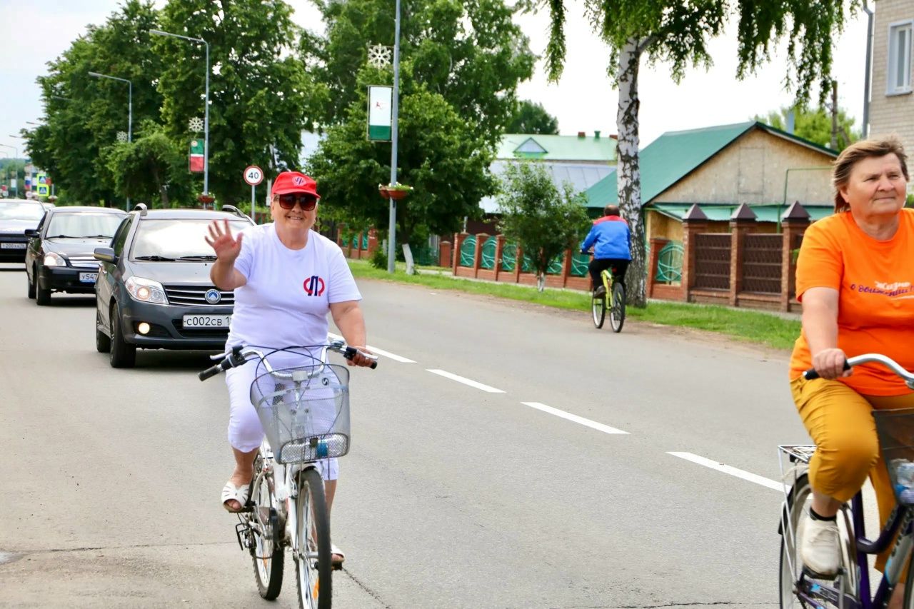 В Алексеевском районе торжественно отметили День России