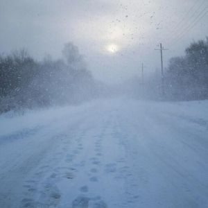 Прогноз погоды в Алексеевском на 8 февраля