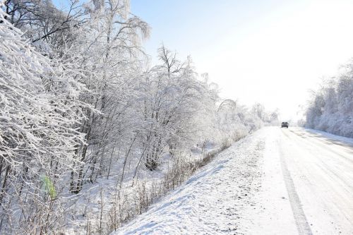 Оперативный прогноз погоды на 14 января