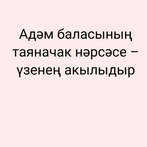 Адәм баласының таяначак нәрсәсе – үзенең акылыдыр.