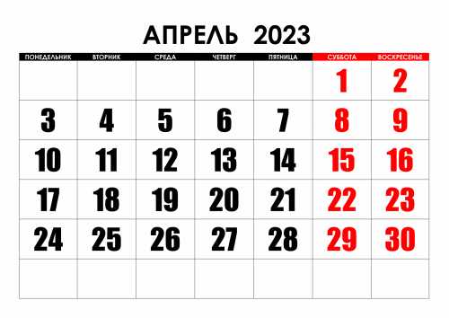 Мобилизованные из Татарстана в апреле могут вернуться в отпуск