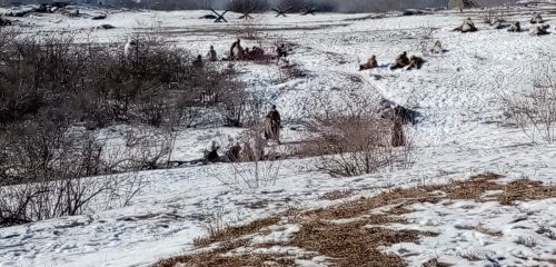 Алексеевцы приняли участие в реконструкции Сталинградской битвы