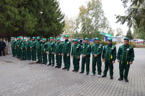 В Алексеевском лучшие молодые комбайнеры поборются за победу в конкурсе «Славим человека труда»