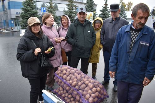 На осенней ярмарке алексеевцы покупали цветы, мясо, картофель и подписывались на «районку»