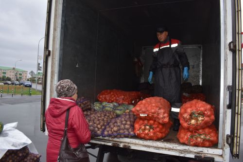 На осенней ярмарке алексеевцы покупали цветы, мясо, картофель и подписывались на «районку»