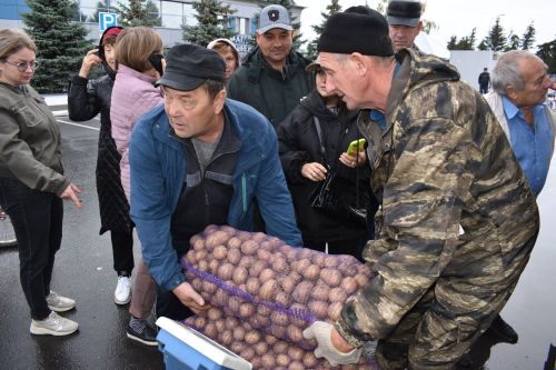 На осенней ярмарке алексеевцы покупали цветы, мясо, картофель и подписывались на «районку»