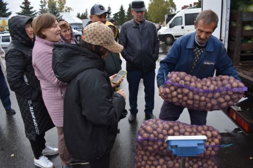 На осенней ярмарке алексеевцы покупали цветы, мясо, картофель и подписывались на «районку»