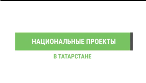 В Татарстане проведено лесовосстановление на площади 3,6 тыс. га