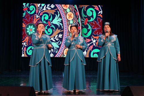 В Алексеевском прошел концерт ко Дню народного единства