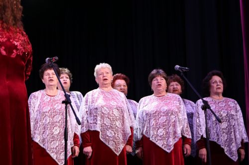 В Алексеевском прошел концерт ко Дню народного единства