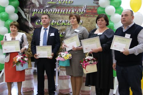 В Алексеевском наградили лучших работников агропромышленного комплекса