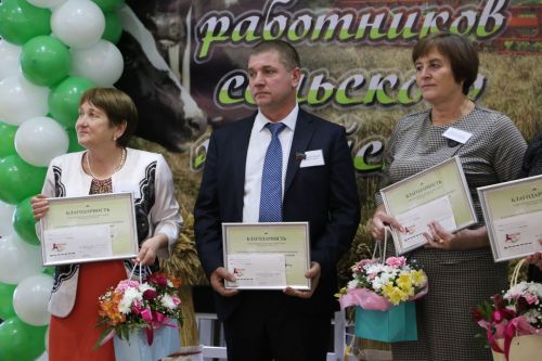 В Алексеевском наградили лучших работников агропромышленного комплекса