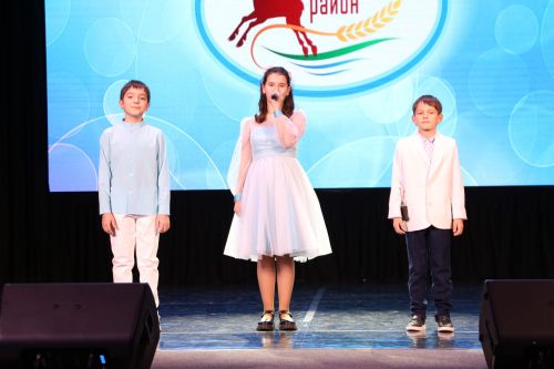 В Алексеевском закрыли Год национальных культур и традиций