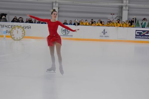 В ледовом дворце «Алекс Арена» прошло торжественное открытие елки