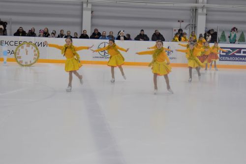 В ледовом дворце «Алекс Арена» прошло торжественное открытие елки