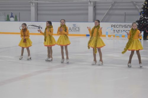 В ледовом дворце «Алекс Арена» прошло торжественное открытие елки