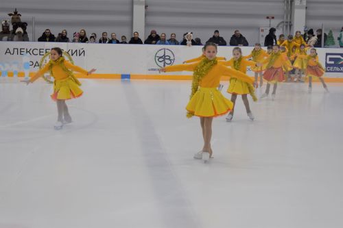 В ледовом дворце «Алекс Арена» прошло торжественное открытие елки