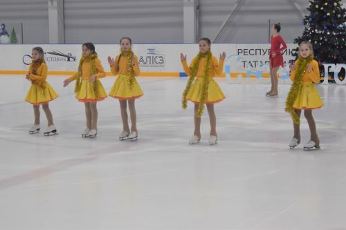 В ледовом дворце «Алекс Арена» прошло торжественное открытие елки