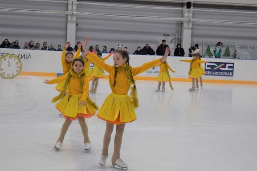 В ледовом дворце «Алекс Арена» прошло торжественное открытие елки