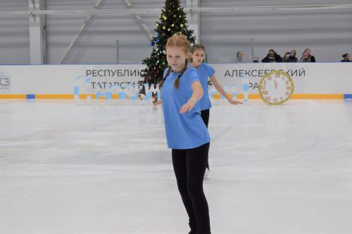 В ледовом дворце «Алекс Арена» прошло торжественное открытие елки
