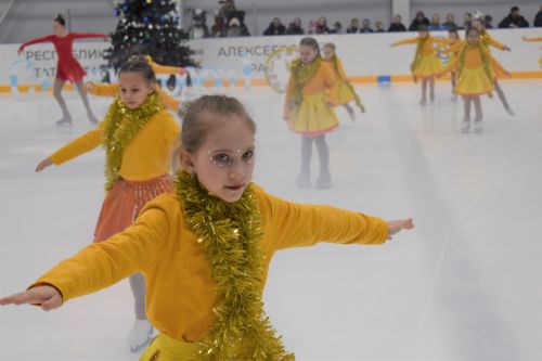 В ледовом дворце «Алекс Арена» прошло торжественное открытие елки
