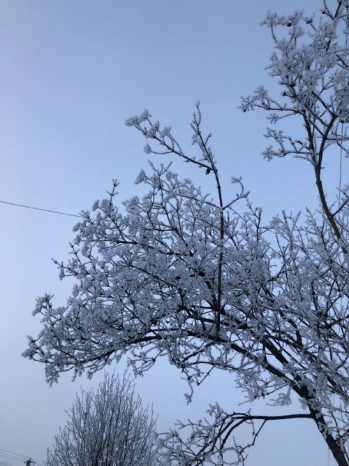 Прогноз погоды на 4 декабря
