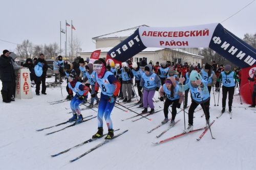 Около двухсот пятидесяти алексеевцев приняли участие в «Лыжне России»