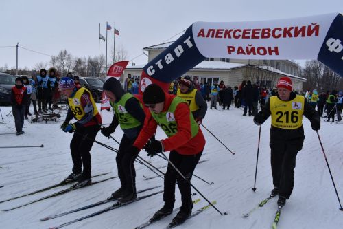 Около двухсот пятидесяти алексеевцев приняли участие в «Лыжне России»
