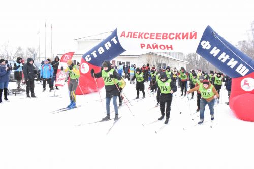 Около двухсот пятидесяти алексеевцев приняли участие в «Лыжне России»